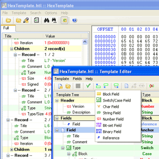 Screenshot of HexTemplate 1.3b